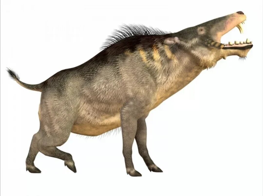 10 самых жутких доисторических существ, которых удалось обнаружить.