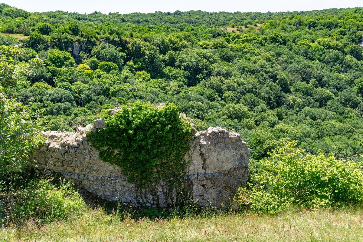 1. Сохранившийся участок стены. На первый взгляд может показаться, что куст растёт прямо из каменной кладки, но корни, стелющиеся по стене, уходят в землю. Вдали виден противоположный, левый борт ущелья Чуфут-Чеарган-бурун.