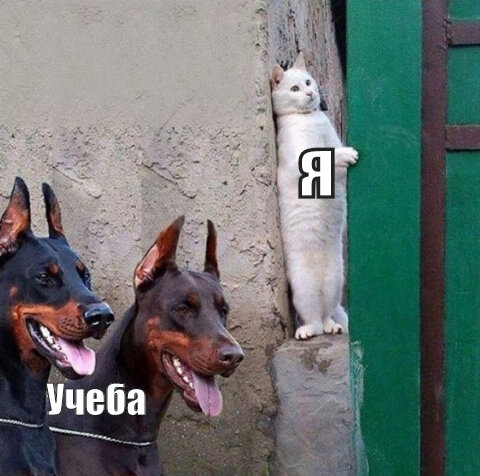 как то так