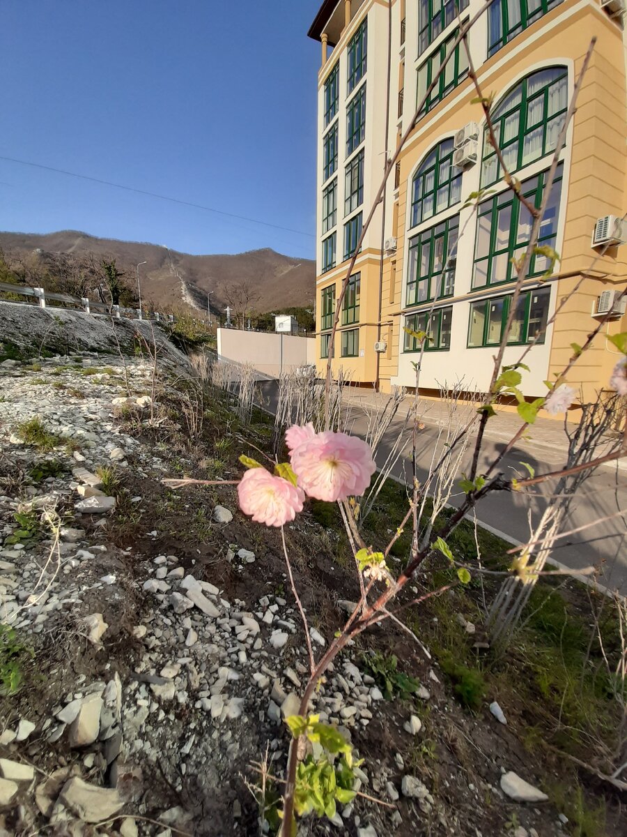 В 100 метрах от дома. Фото автора