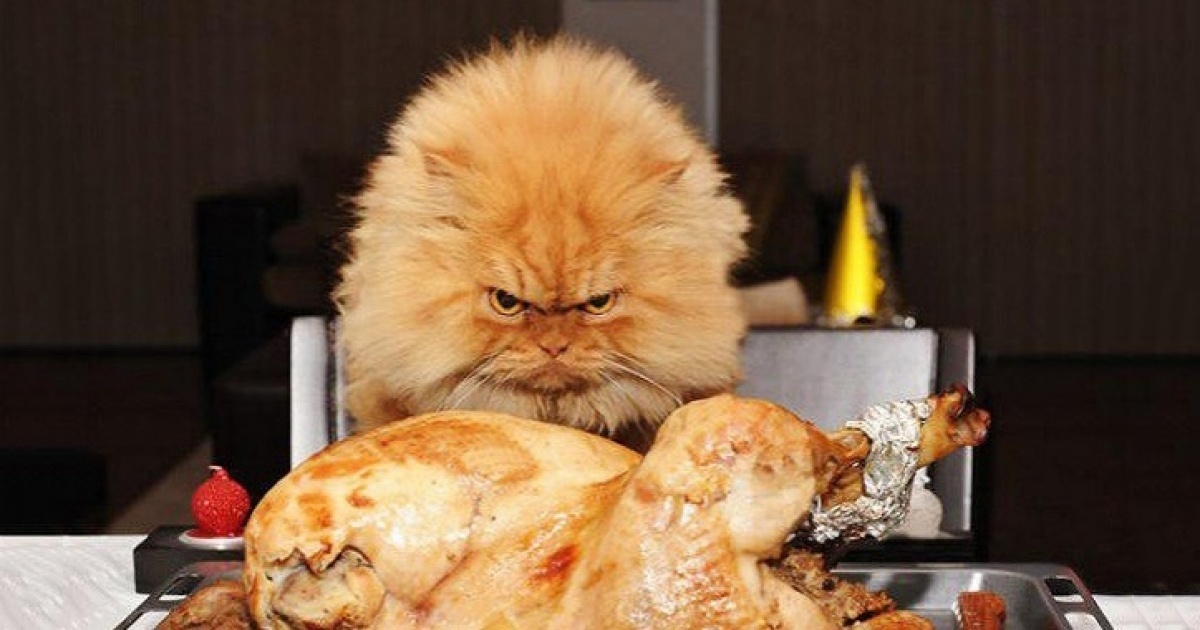 Тренирует силу воли. Источник: greatphoto.tk