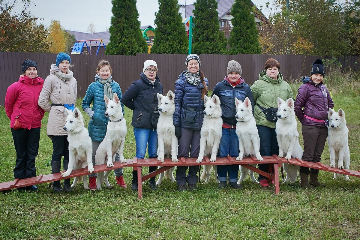 Мои ученики и я, Евгения Марченко ( в центре)