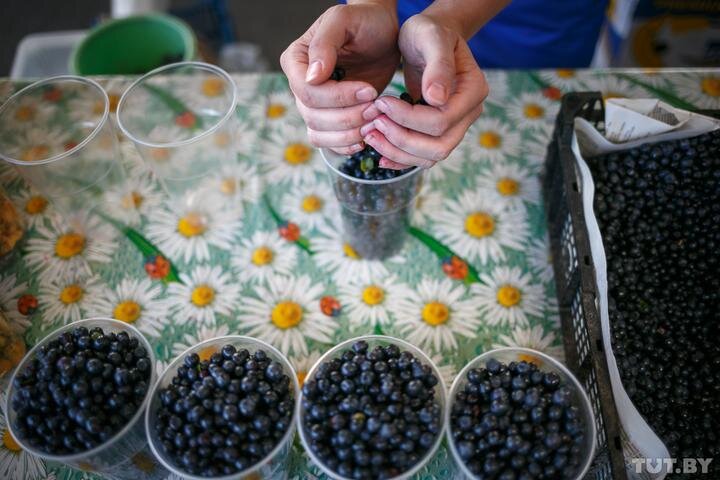 Фото: Вадим Замировский, TUT.BY