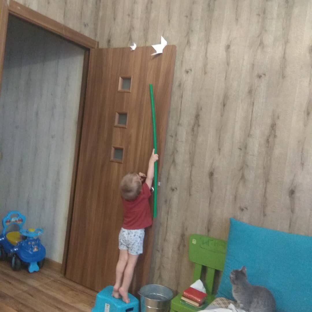 На фото пытаемся поймать птичек на двери