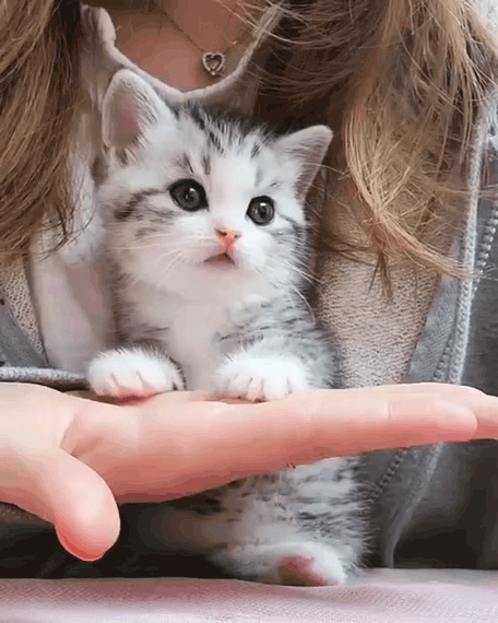 Нажми на картинку, чтобы посмотреть видео. Источник: Ютуб.