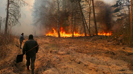 #пожар #пожар в чернобыле 