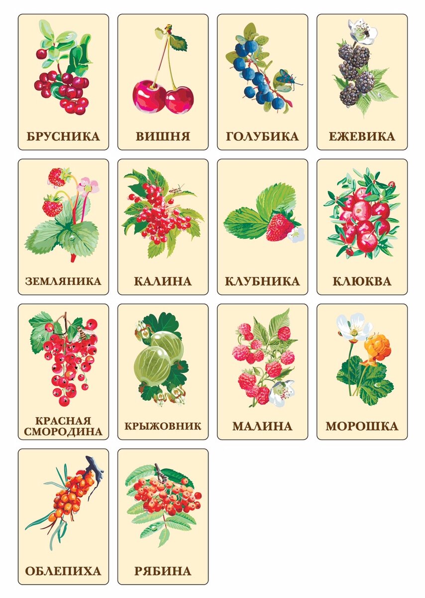 Картинки лесных ягод для детей с названиями. Ягоды Лесные и садовые. Карточки ягоды для детей. Садовые ягоды названия. Садовые и Лесные ягоды для детей