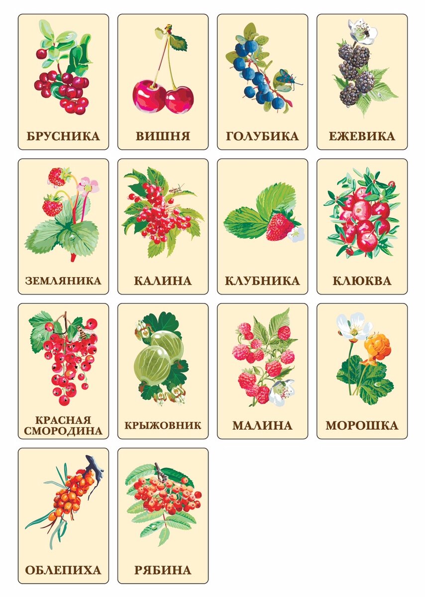 Презентация для дошкольников лесные и садовые ягоды