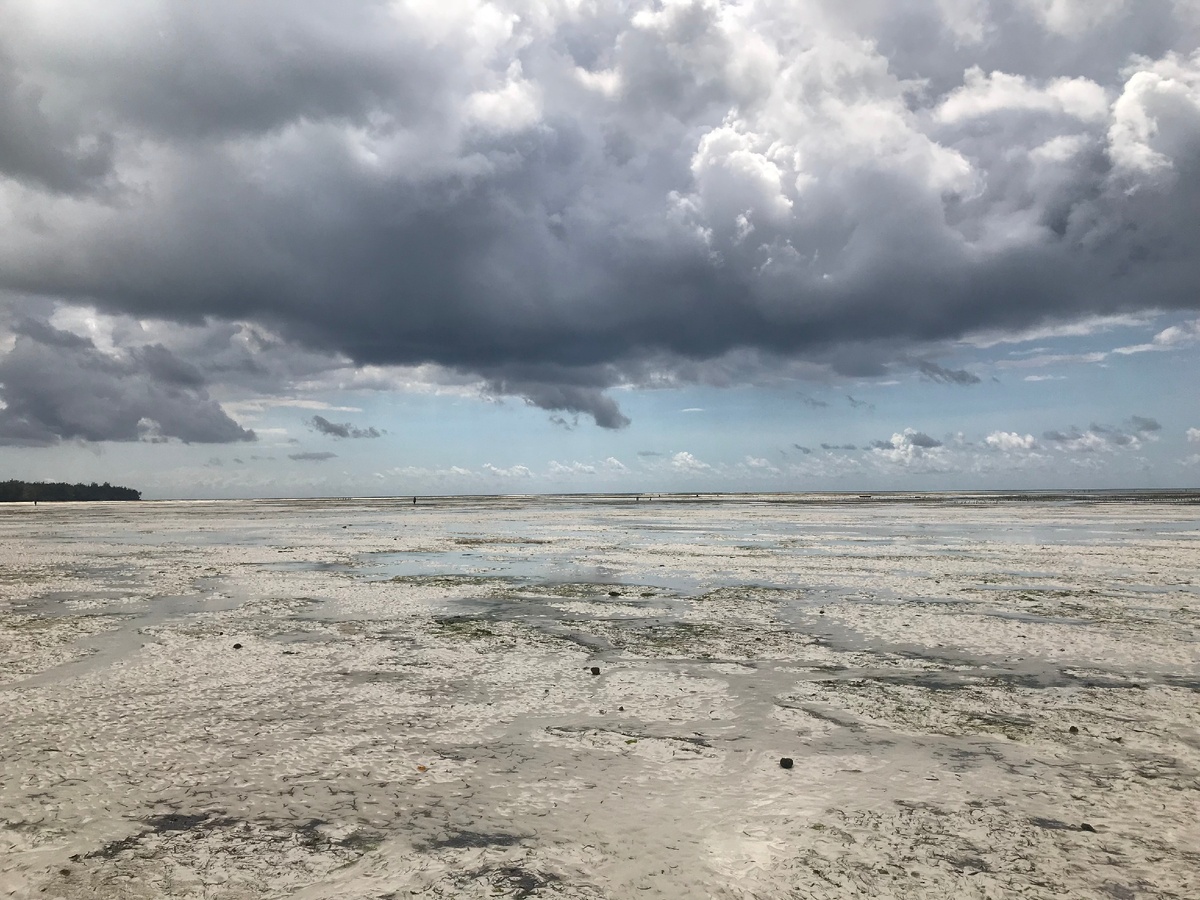 Когда приехал на море, а моря нет...