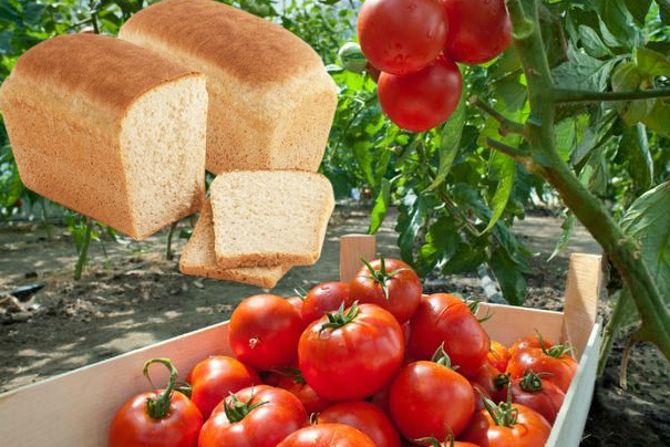 Хлеб незаменим для хорошей урожайности.