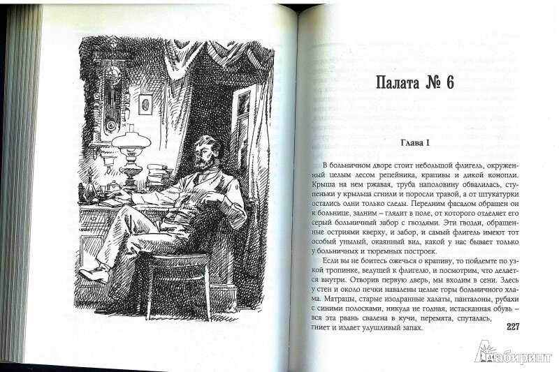 Попрыгунья читать краткое содержание. Чехов палата номер 6 иллюстрации.