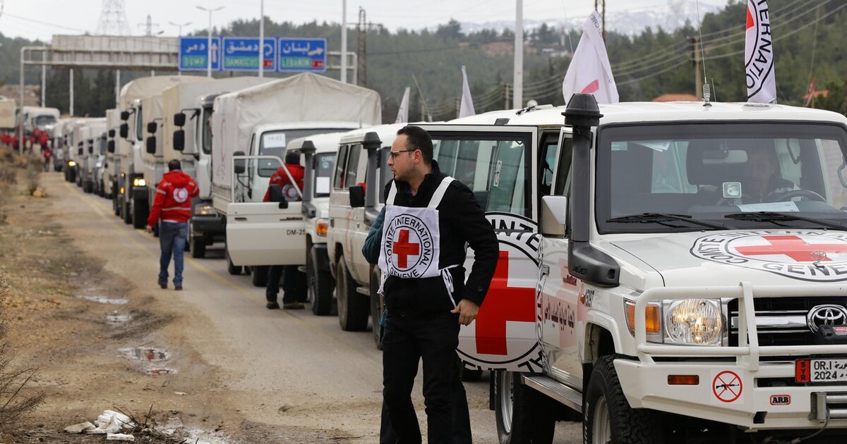 фото с яндекс