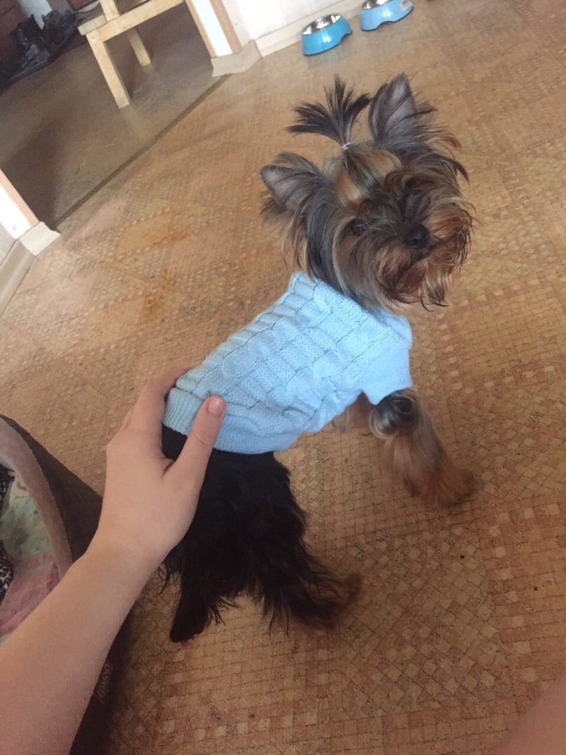 из архива автора