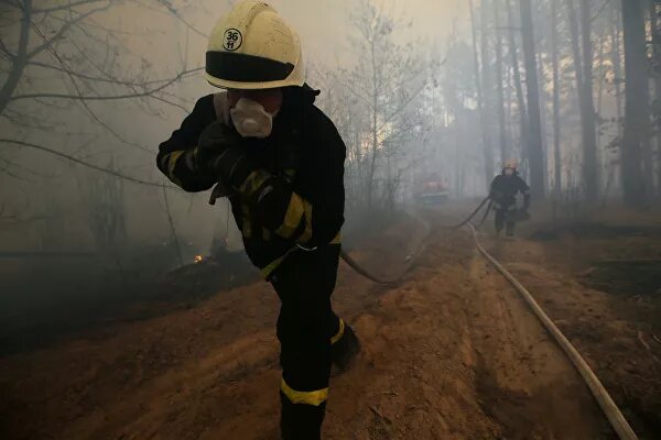 © AP Photo / Ukrainian Police Press Office2из 15