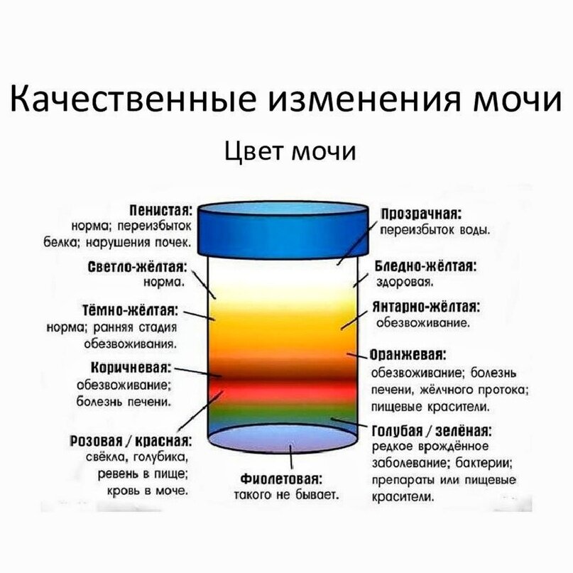 ТЕСТ "СВЕТОФОР  МОЧИ"