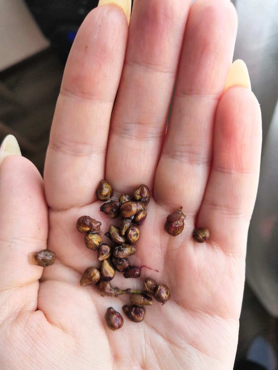 Виноградный косточки