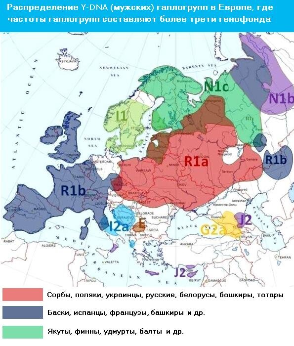 Генетическая карта европы 2020