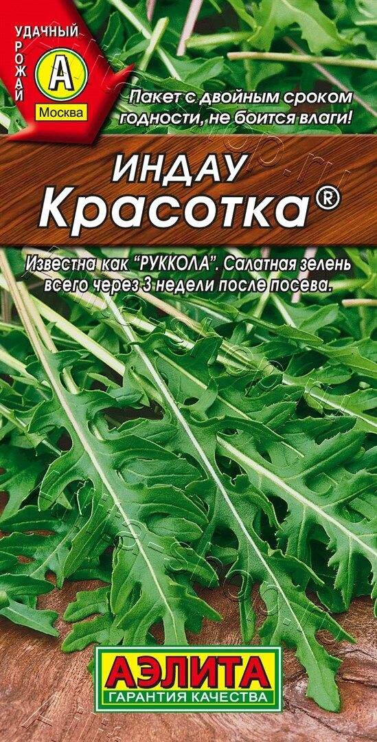 Руккола: выращивание, посев и полезные свойства