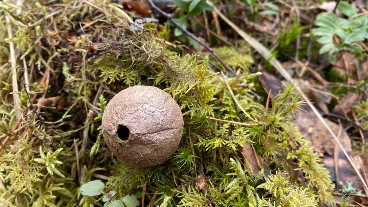 Фото от Чёрных Любови 