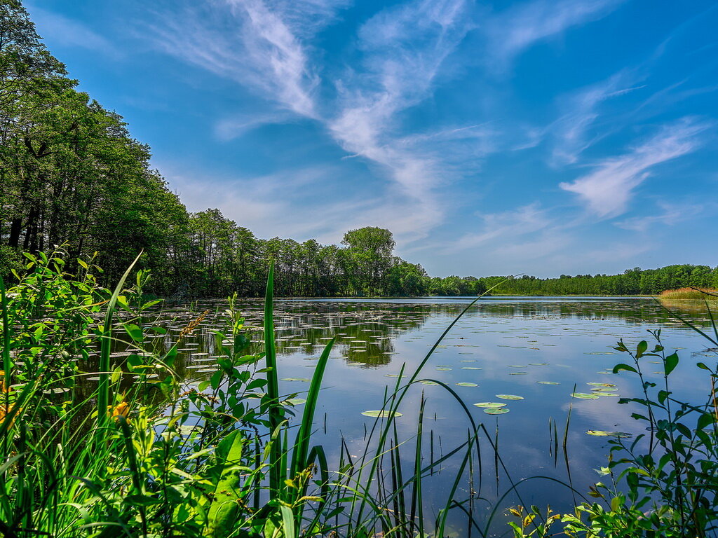 Картинка из интернета