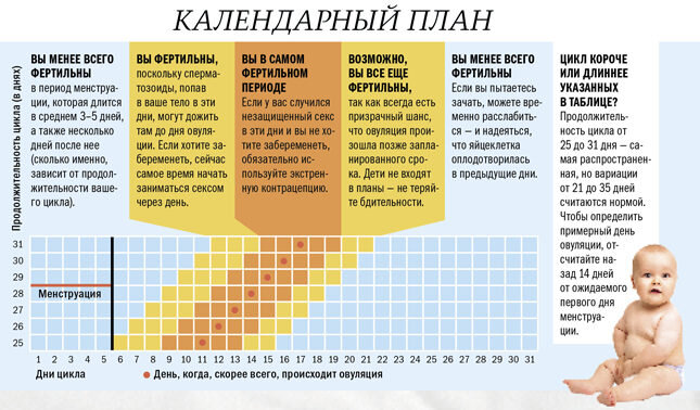 Беременность во время месячных