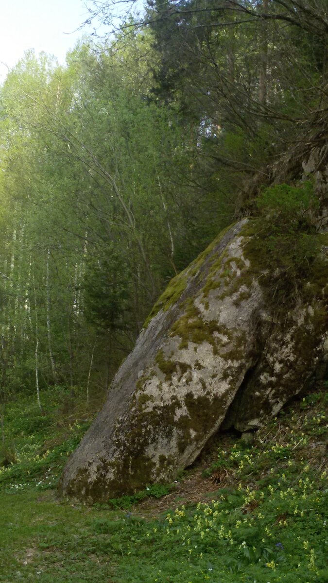 фото автора, Белокуриха, Алтай