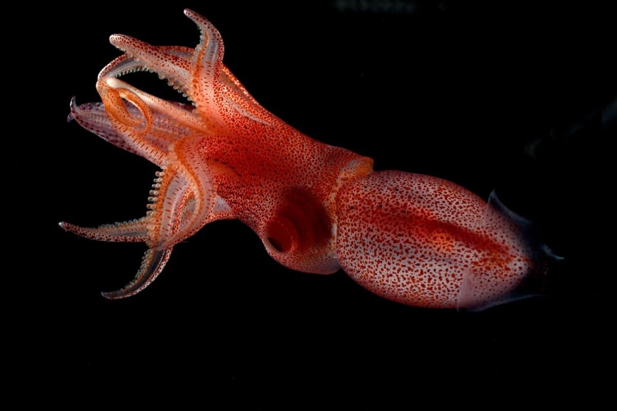 Источник: yandex.ru