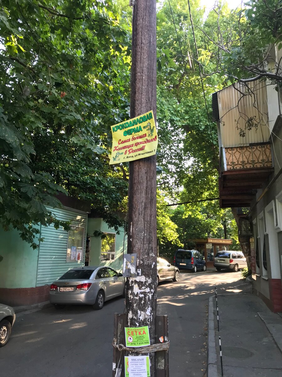 Про крокодилов - звучит двусмысленно, но что то в этом есть...