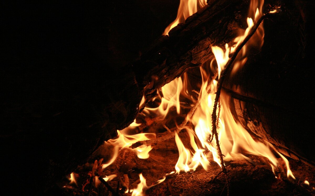 фото из сети