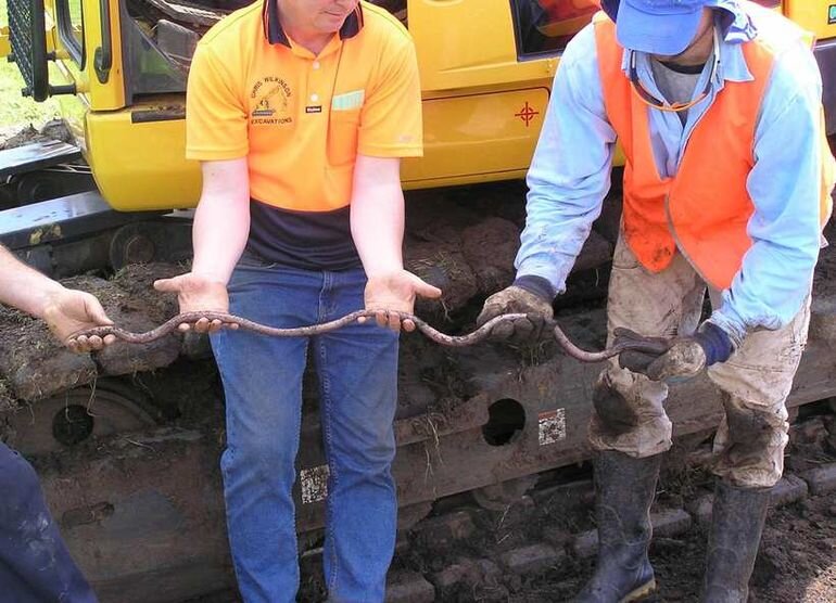 Спасибо кротам за то, что у нас такие черви никогда не появятся. 