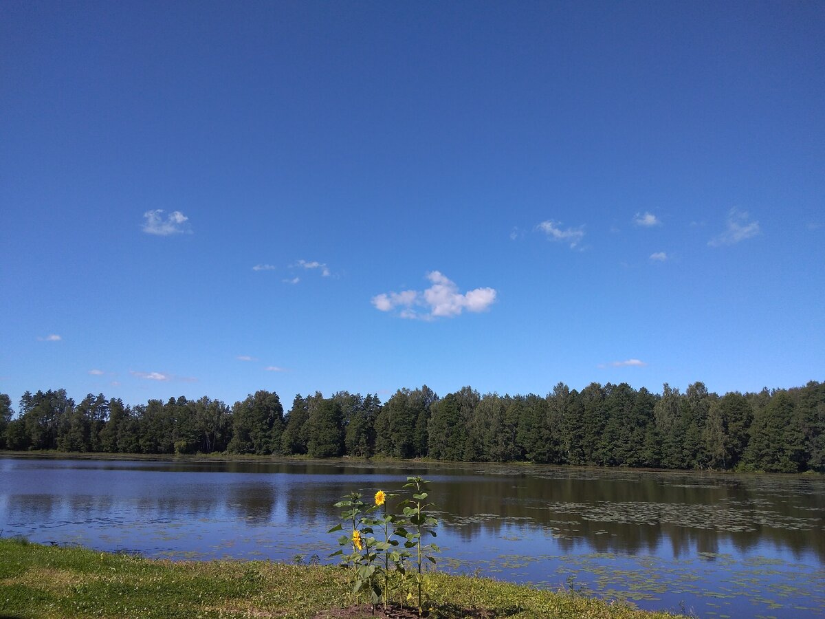 Быть вместе с семьёй и отдыхать - это здорово. 