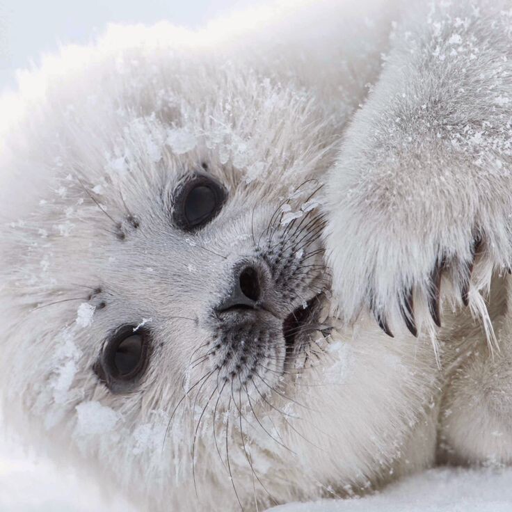 Источник: Pinterest