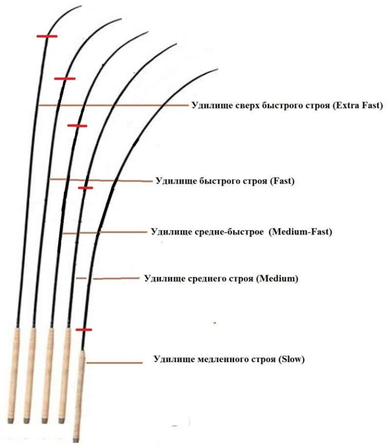 Строй удилища (схема).