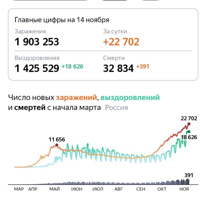 Сводка по распространению коронавируса в России на 14 ноября 2020 года