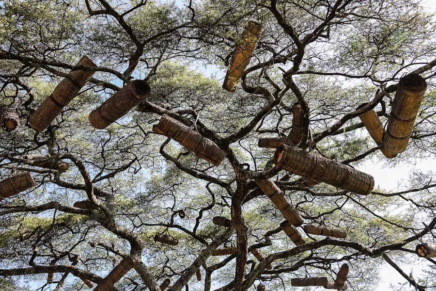 Изображение взято из интернета.