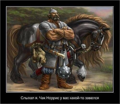 Фото из свободного доступа