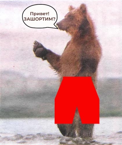 Так по-моему выглядят "медведи" на рынке.