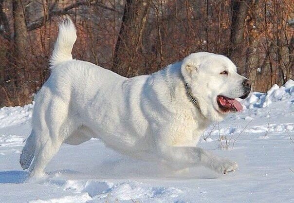 Фото использовано в качестве иллюстрации к истории