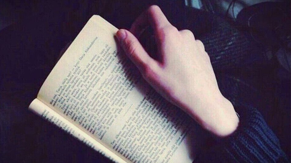 фото из интернета 