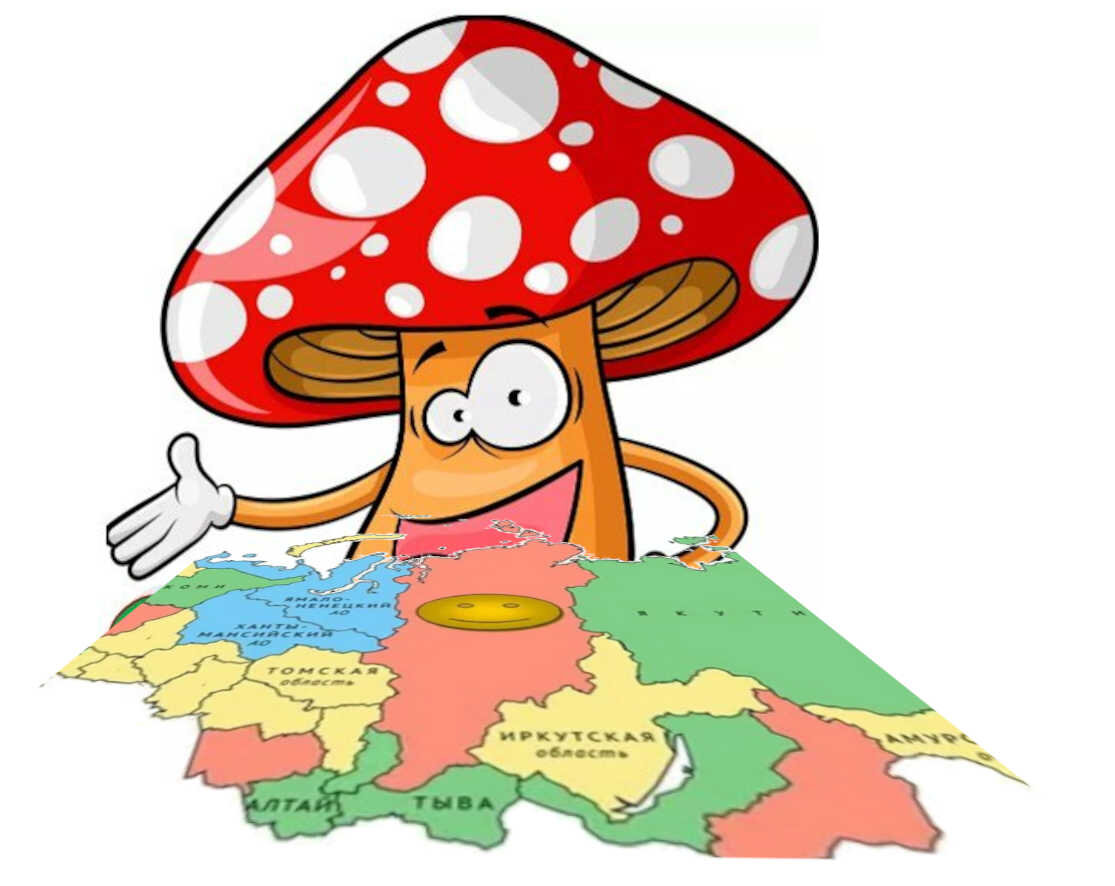 Тест на знание субъектов РФ