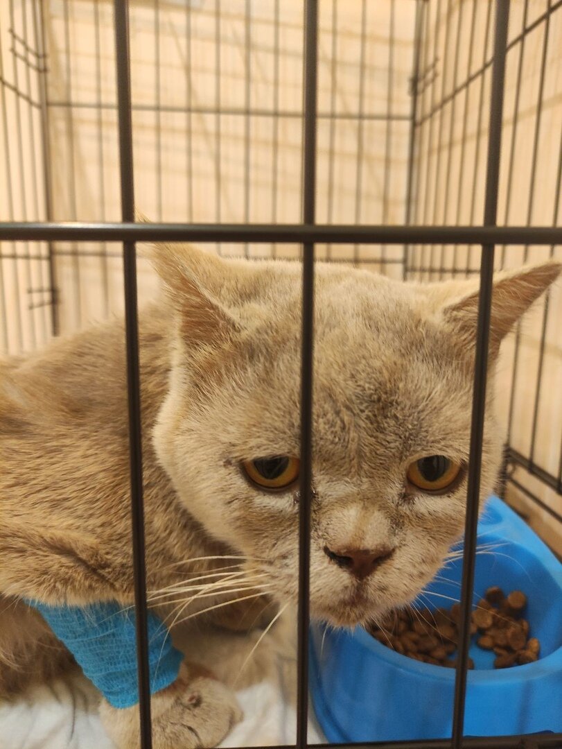 Хлебушек первый день в стационаре, после улицы и подъезда