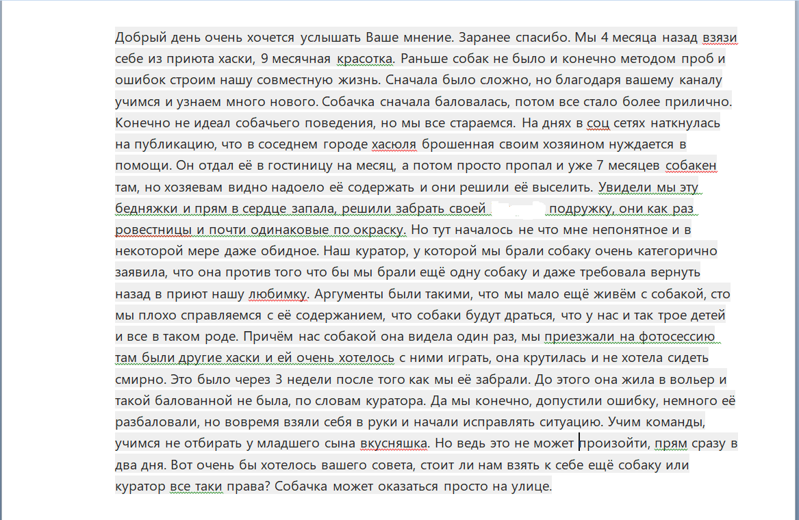 Взять собаку из приюта достойный поступок, а взять вторую из приюта может  стать самой большой ошибкой в жизни. | Жизнь с 10 Хаски. | Дзен