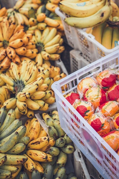 https://cdn.pixabay.com/photo/2019/12/30/03/28/fruits-4728754_960_720.jpg