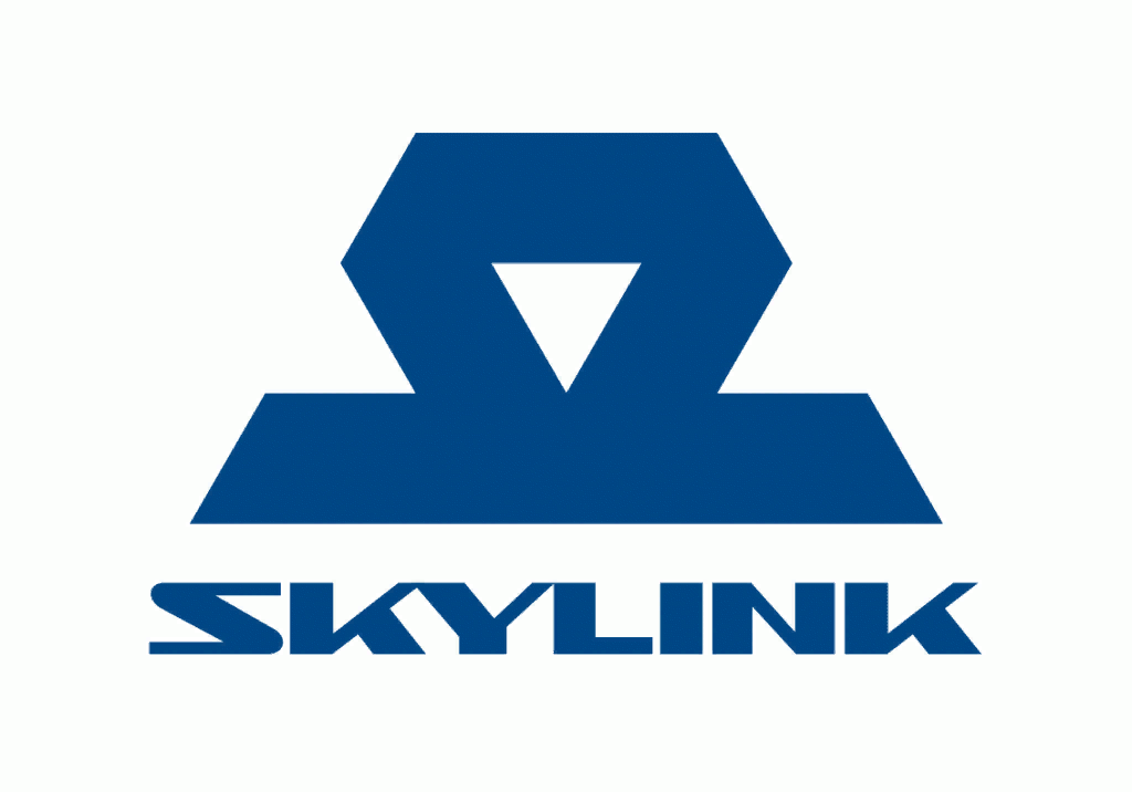 Скай линк