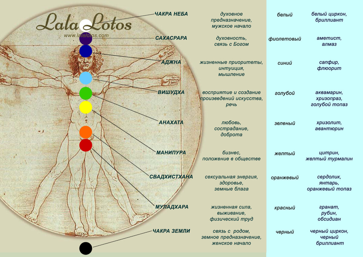 Что означает центр. Чакры на теле человека схема. Энергетические центры человека схема. Чакры человека название и расположение и цвета. Энергоцентры человека чакры.