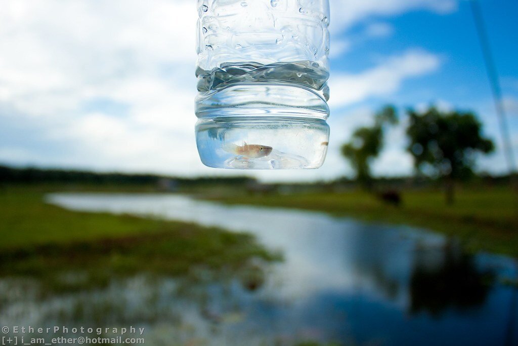 Воду можно найти. Вода которая застаивается начинает. Вода которая выделяет пот.