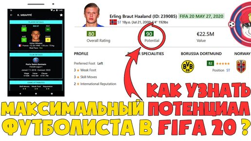 КАК Узнать ДО Какого Рейтинга Прокачается Футболист в Fifa 20 ?