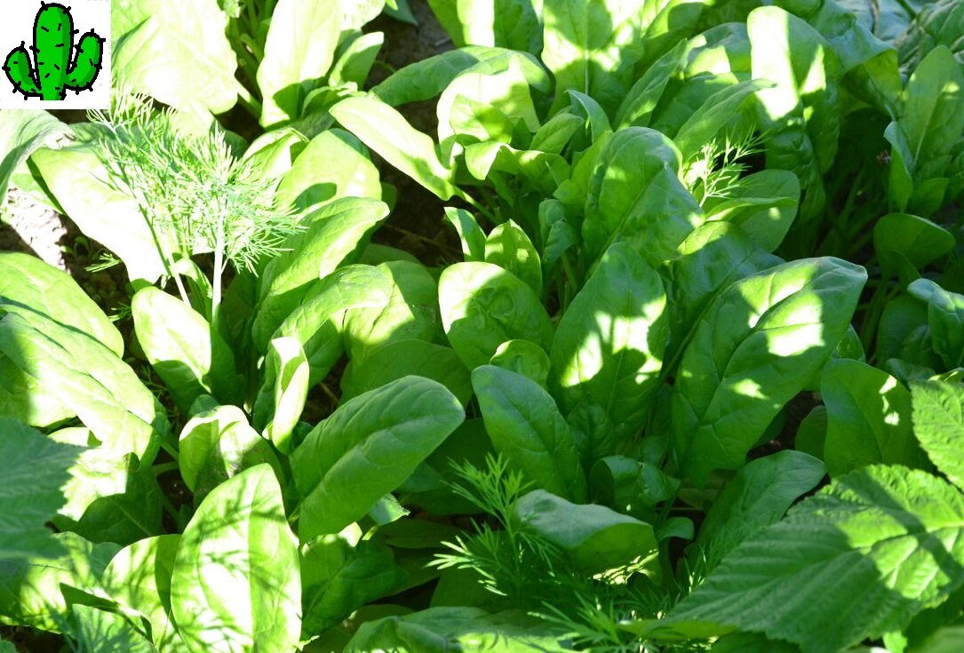 Изображение взято с сервиса Яндекс Картинки