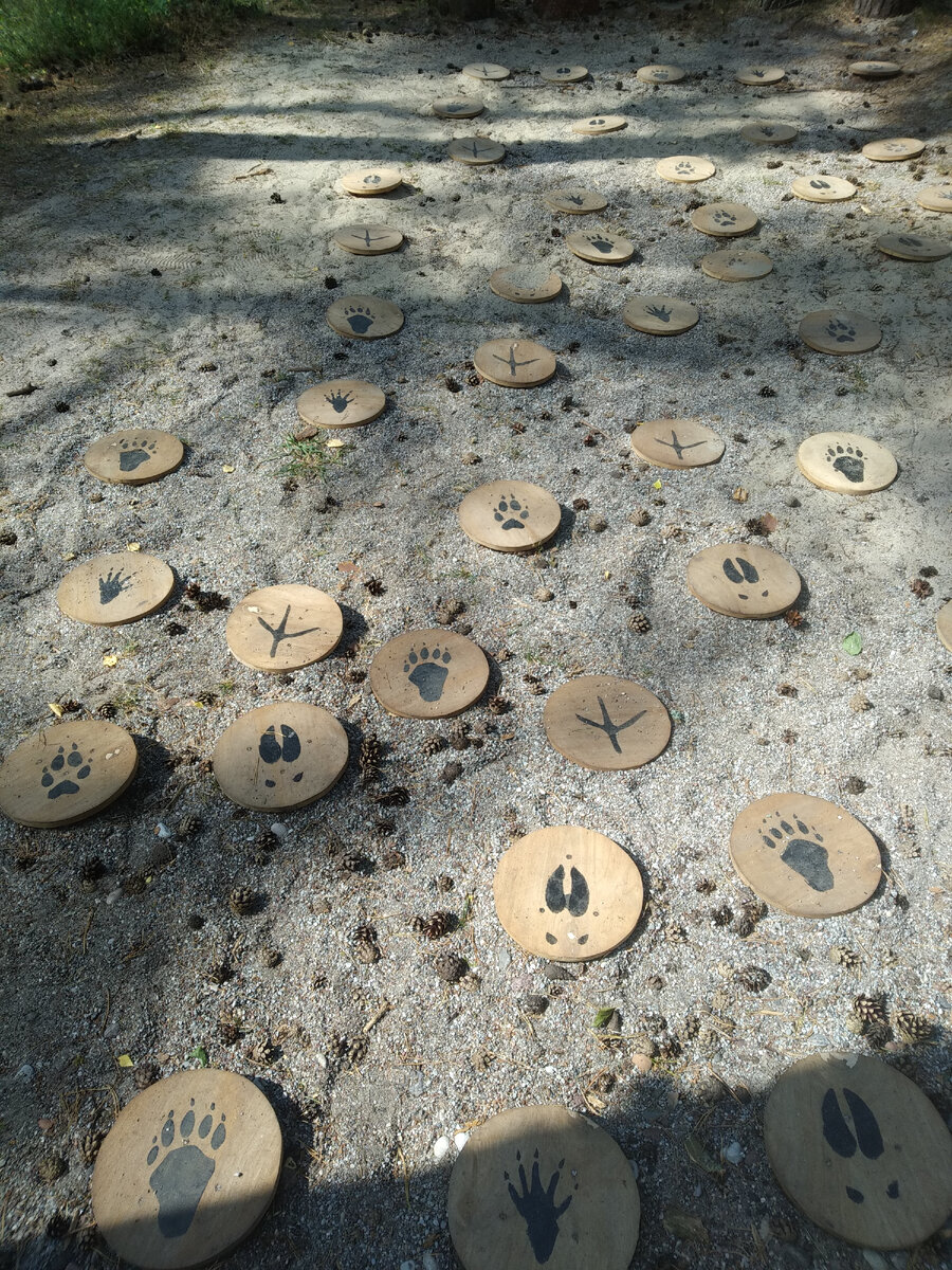 По следам моего адвоката.