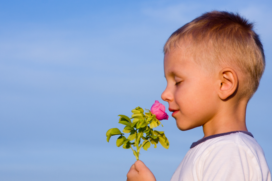 Фото из Яндекс-картинки.